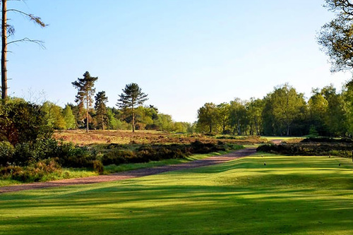woodhall-spa-golf-club-hotchkin_5.jpg