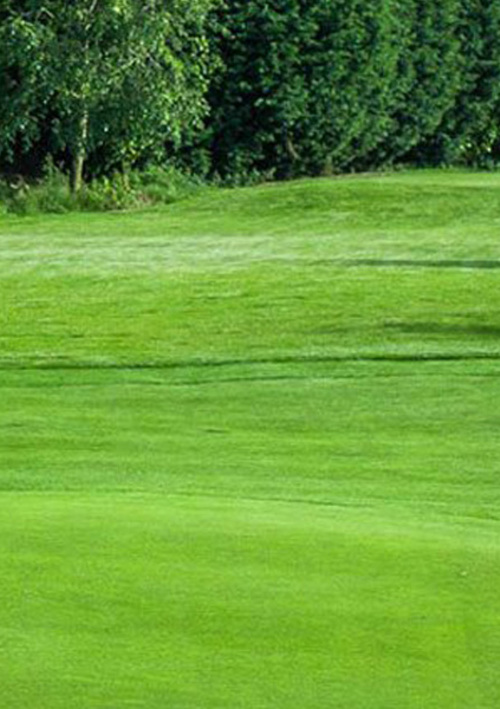 Abbey Hill Golf Club