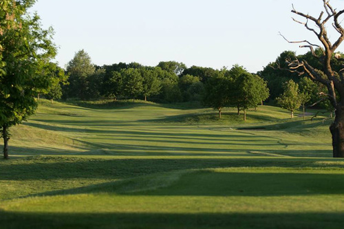 collingtree-park-golf-club_8.jpg