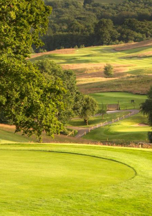 Dale Hill Hotel and Golf Club