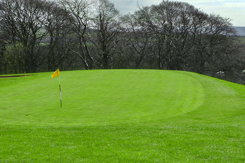 dukinfield-golf-club_3.jpg