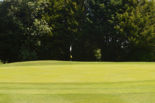 drayton-park-golf-course_2.jpg