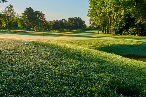 Frilford Heath Golf Club