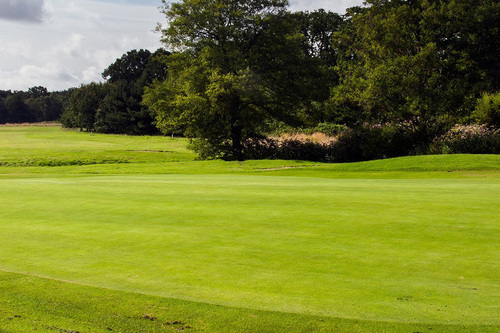 Ferndown Forest Golf Club