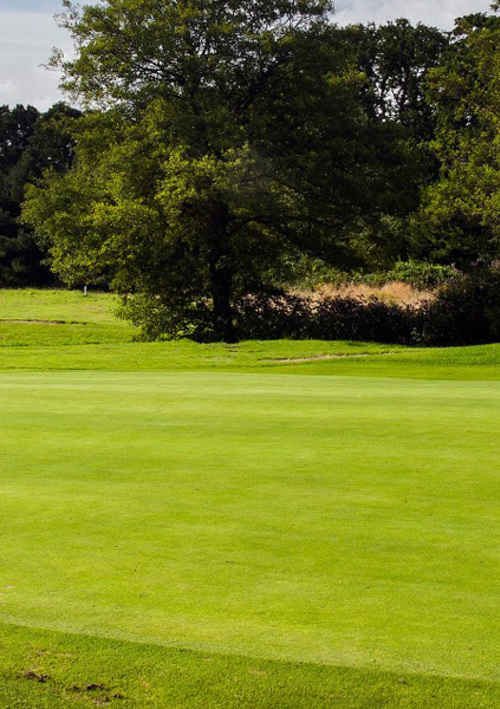 Ferndown Forest Golf Club