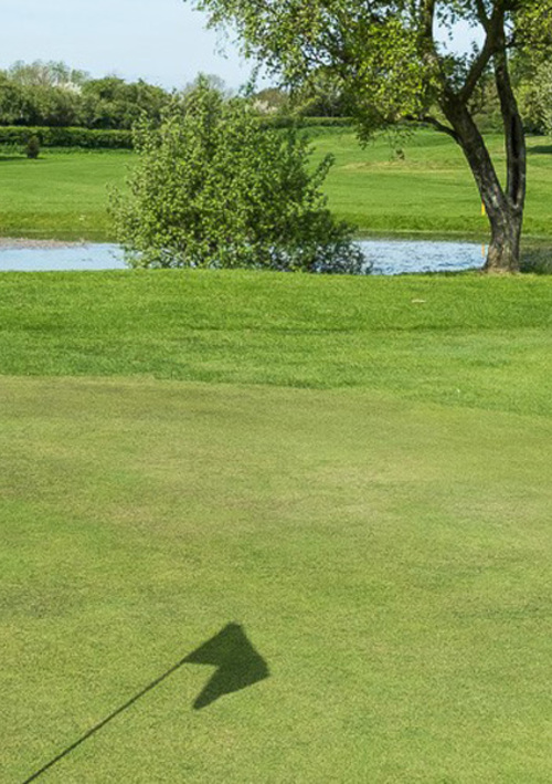 Hainsworth Park Golf Club