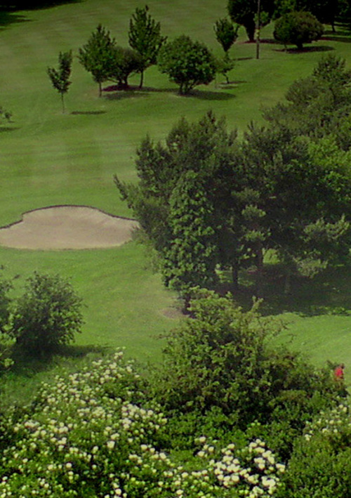 Immingham Golf Club
