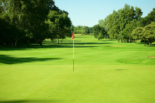 ingestre-park-golf-club_5.jpg