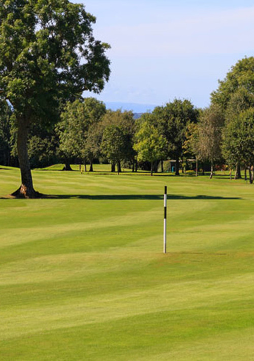 Isle of Wedmore Golf Club
