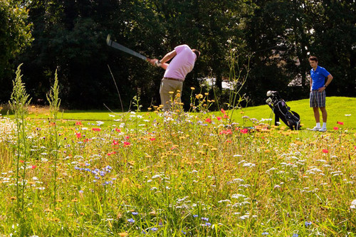 roehampton-golf-club_5.jpg