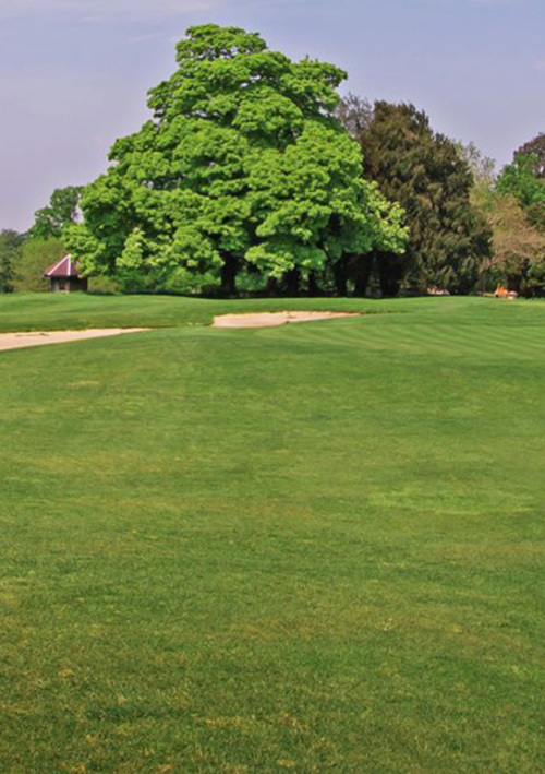 Tracy Park Golf & Country Hotel