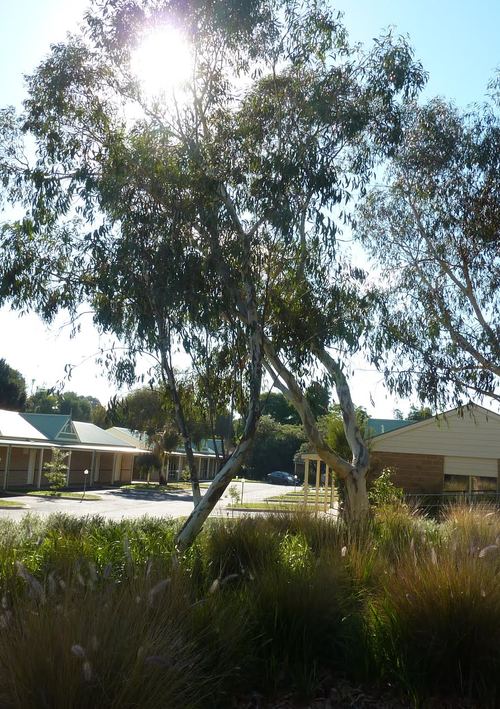 Fairways Resort - Rosebud Country Club