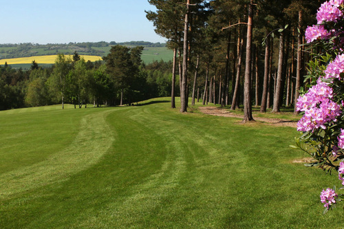 westerham-golf-club_9.jpg