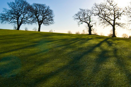 warley-park-golf-club_5.jpg