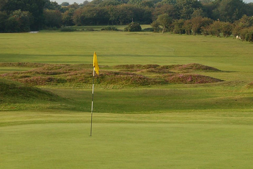yelverton-golf-club_4.jpg
