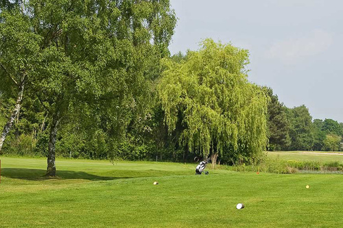 york-golf-club_8.jpg