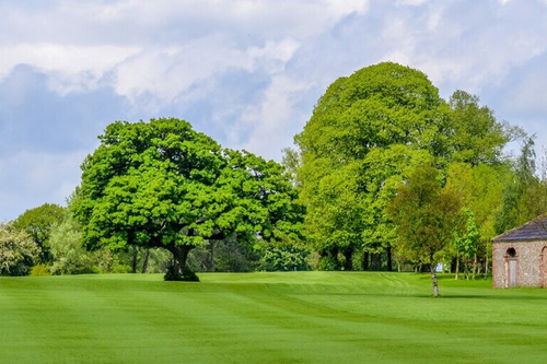 bedale-golf-club_7.jpg