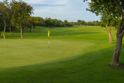 blyth-golf-club_4.jpg