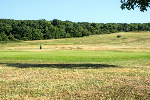 came-down-golf-club_10.jpg