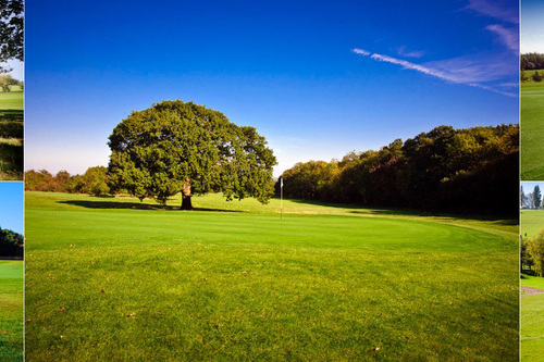 chestfield-golf-club_2.jpg