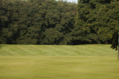 crewe-golf-club_5.jpg