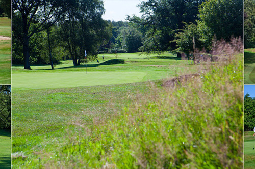 dorking-golf-club_1.jpg