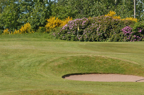 edzell-golf-club_9.jpg