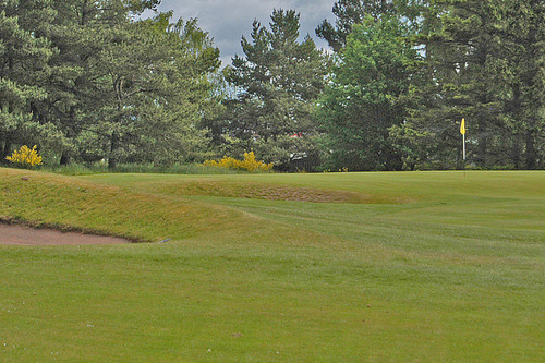 edzell-golf-club_7.jpg