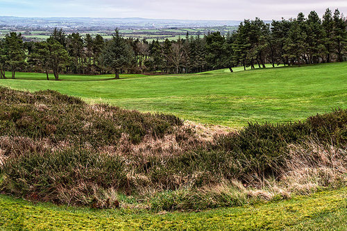 fermoy-golf-club_6.jpg