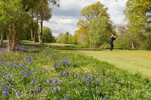 hever-castle-golf-club_4.jpg