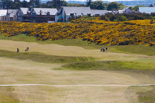 royal-dornoch-golf-club-championship-course_3.jpg