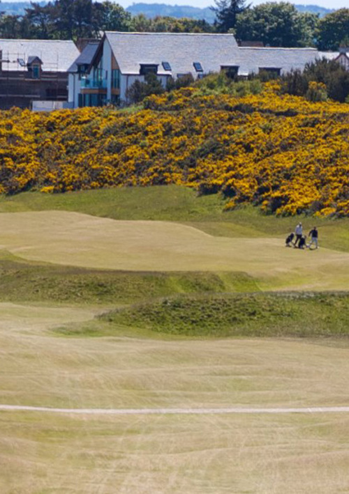 Royal Dornoch Golf Club Championship Course