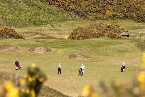 royal-dornoch-golf-club-championship-course_4.jpg