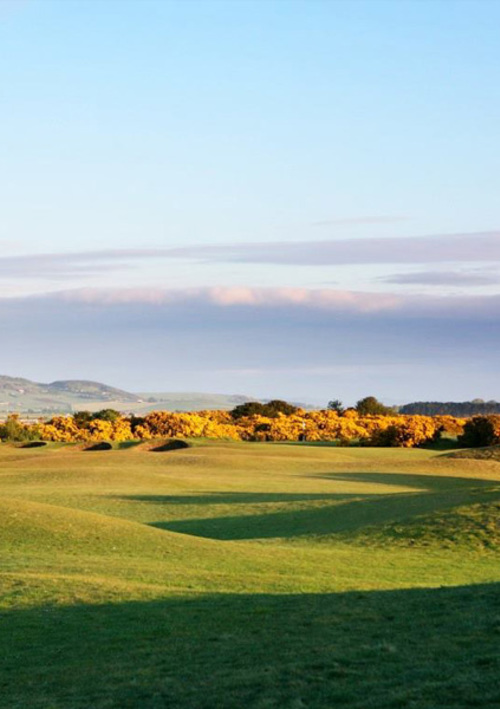 St Andrews New Course 