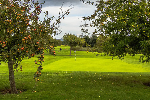 mendip-spring-golf-club_4.jpg