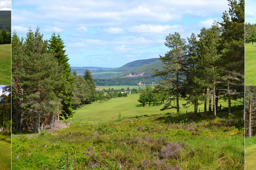 rothes-golf-club_1.jpg