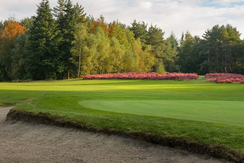 tilgate-forest-golf-centre_2.jpg