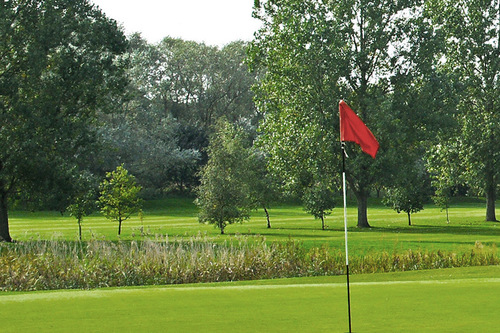 billingham-golf-club_2.jpg