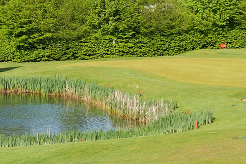 bramley-golf-club_1.jpg