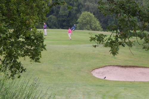 bewdley-pines-golf-club_1.jpg