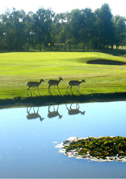 Belton Park Golf Club