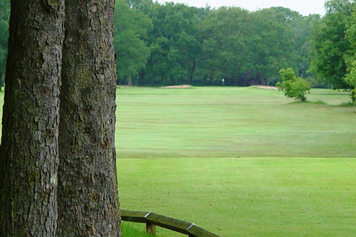 boldmere-golf-club_4.jpg