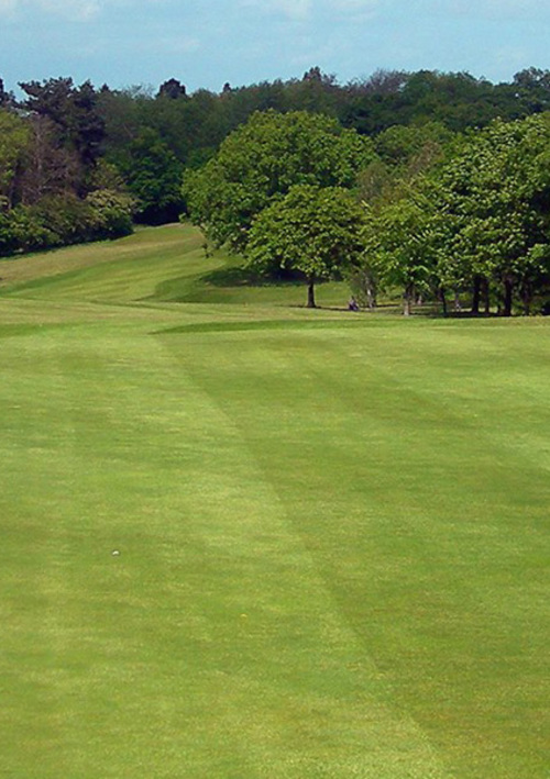 Brickendon Grange Golf Club
