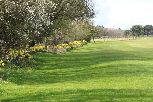 barnard-castle-golf-club_6.jpg