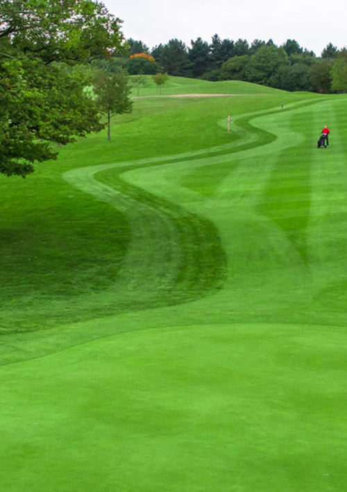 Birchwood Park Golf Club