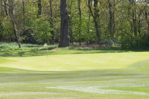 calcot-park-golf-club_3.jpg