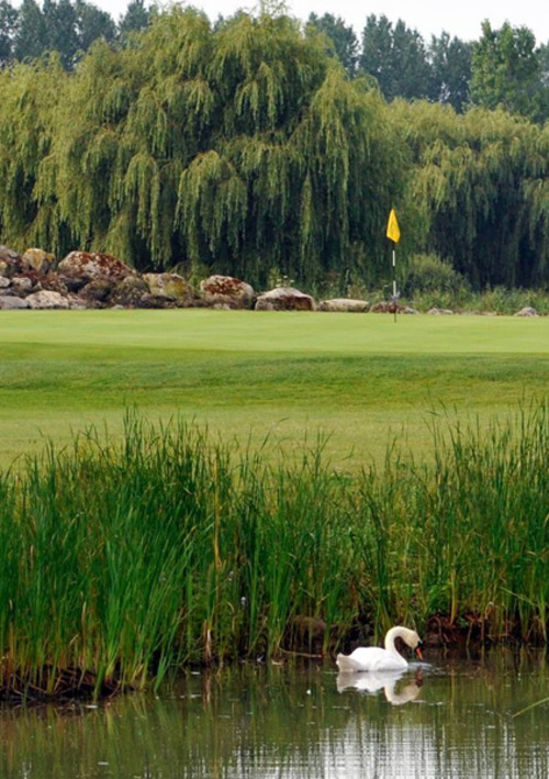 Chichester Golf Club