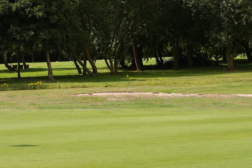 cannington-golf-club_1.jpg
