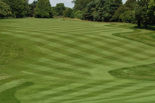 chipping-norton-golf-club_3.jpg