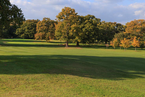 chobham-golf-club_4.jpg
